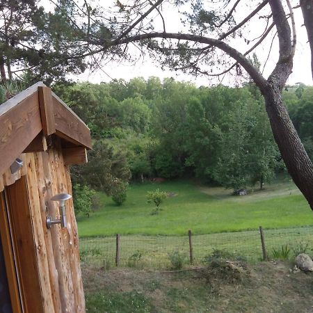 La Cabane En Bois Villemur-sur-Tarn Exterior photo