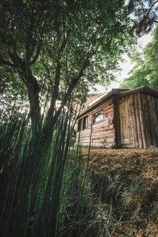 La Cabane En Bois Villemur-sur-Tarn Exterior photo